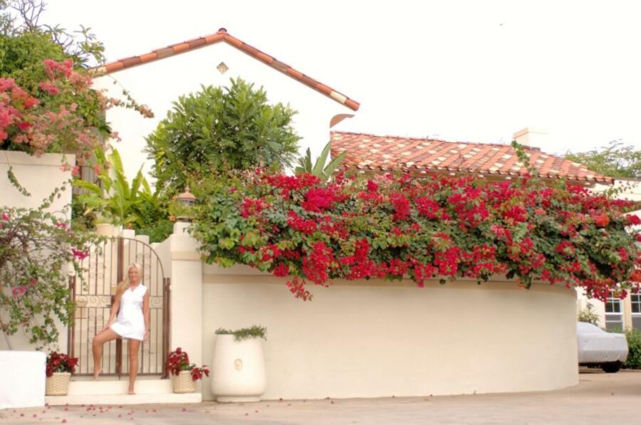 Fodilhona parte