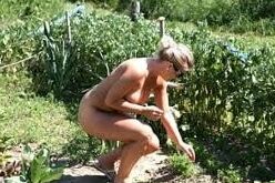 Stay Safe: work in your garden