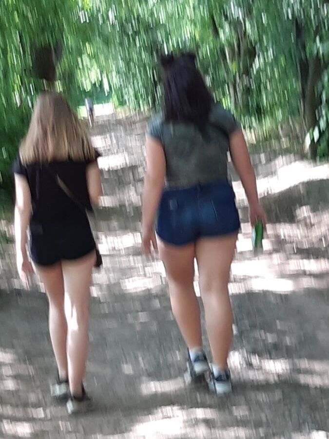 Afternoon walking in the wood