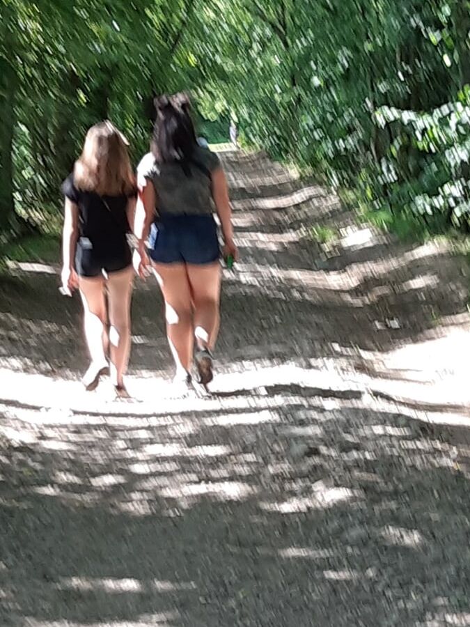 Afternoon walking in the wood