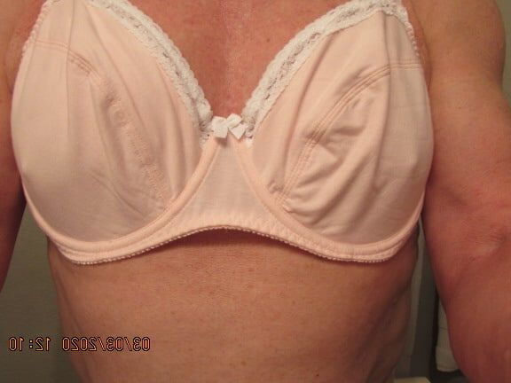 - new bras plus