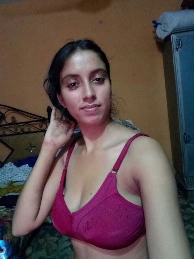 horny anties
