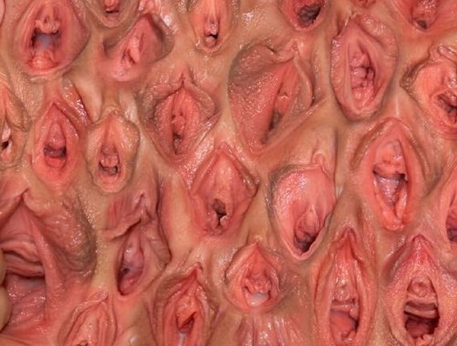 Wet Pussy