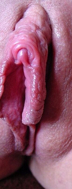 Amateur Photoassarty - Female Pussy