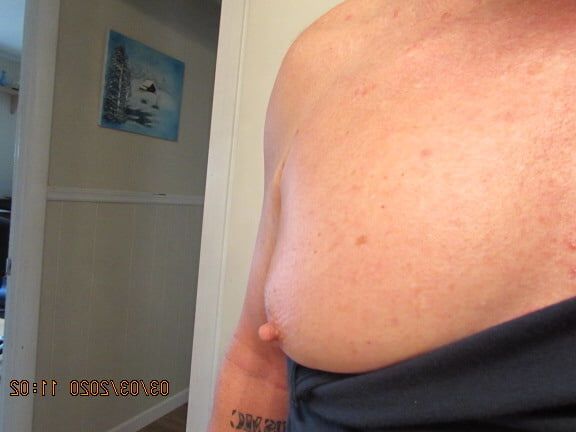 - new bras plus