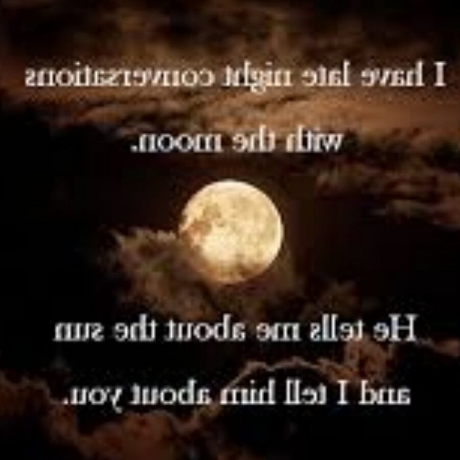 Fly me to the moon