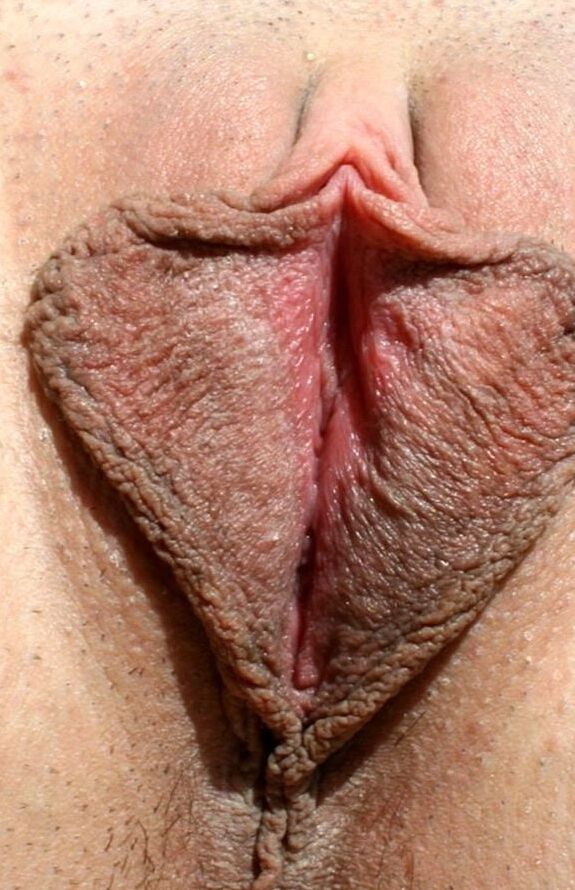Amateur Photoassarty - Female Pussy