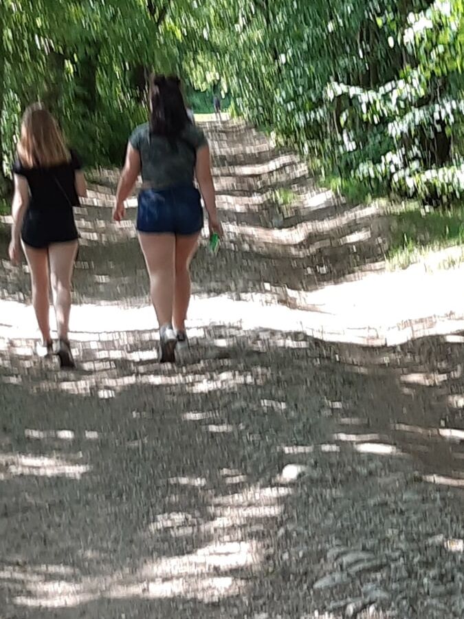 Afternoon walking in the wood
