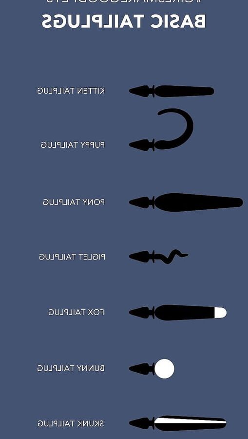 BDSM Basics