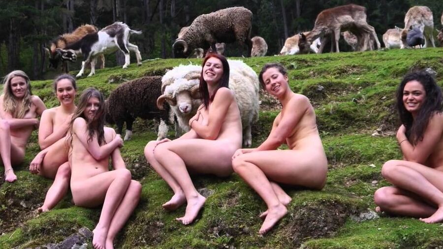 Vet students naked calendar