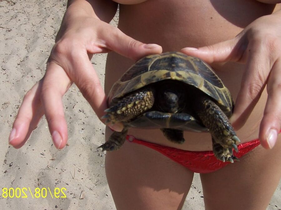 topless mix beach amator
