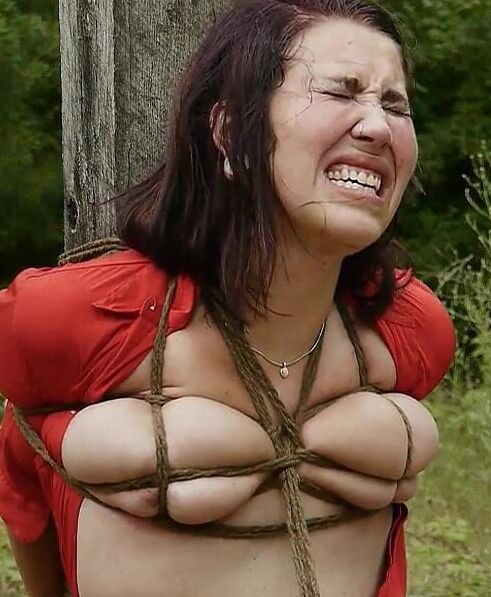 BDSM, Humiliation, Degredation