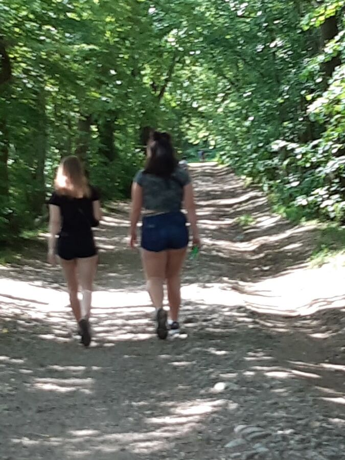 Afternoon walking in the wood