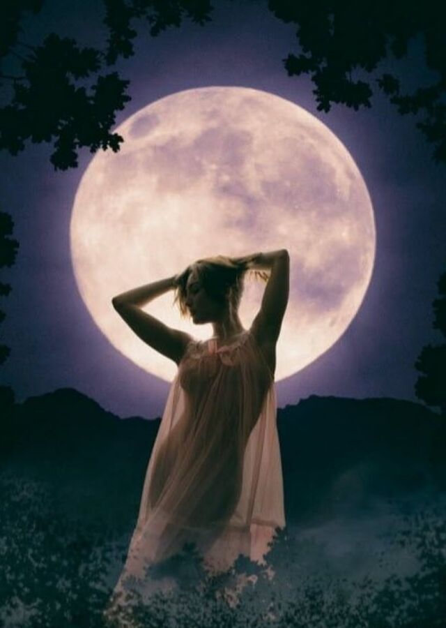 Fly me to the moon