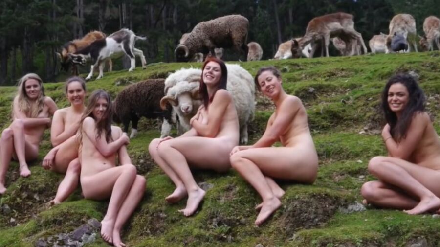 Vet students naked calendar