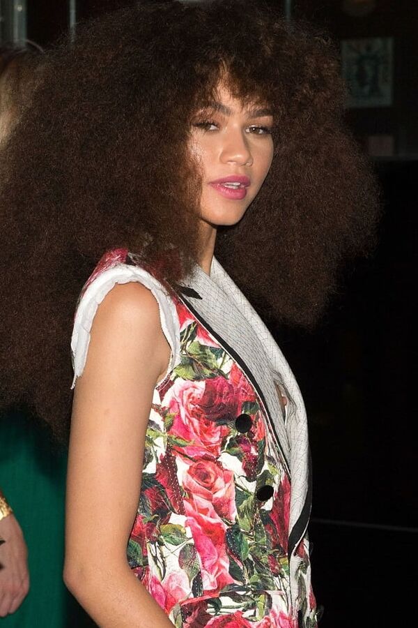 Zendaya Nipples