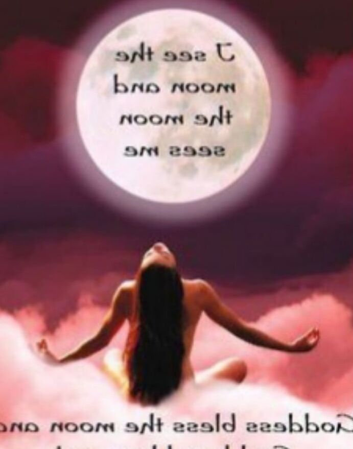 Fly me to the moon