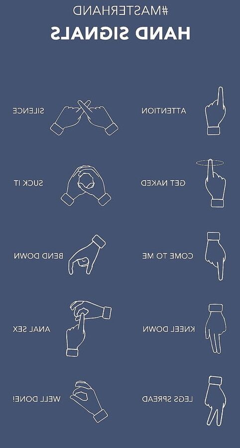 BDSM Basics