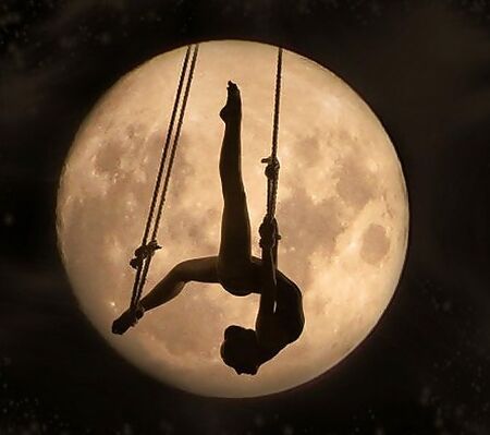 Fly me to the moon