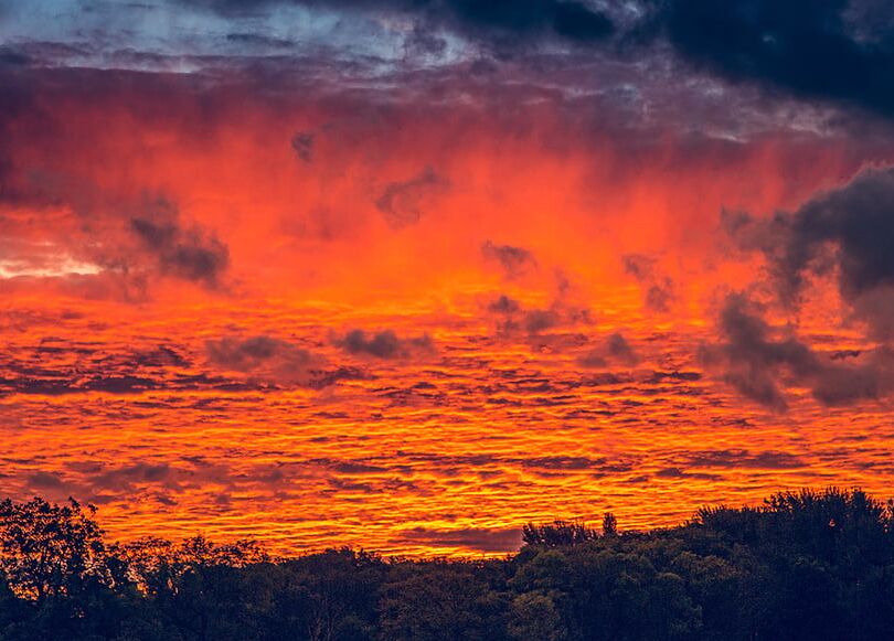 Photography by Max O.