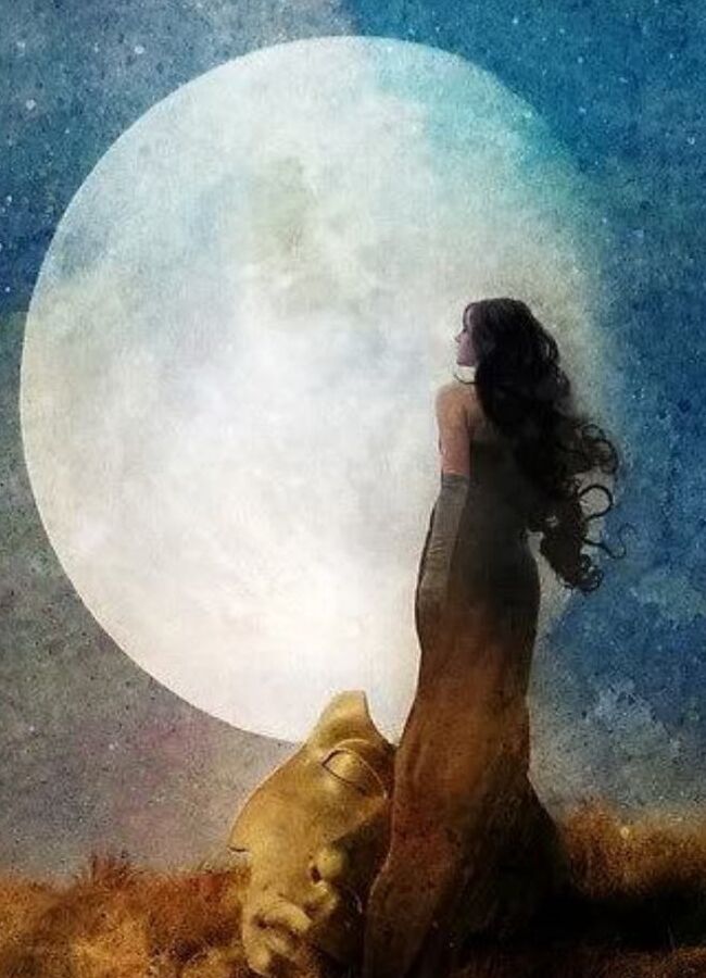 Fly me to the moon