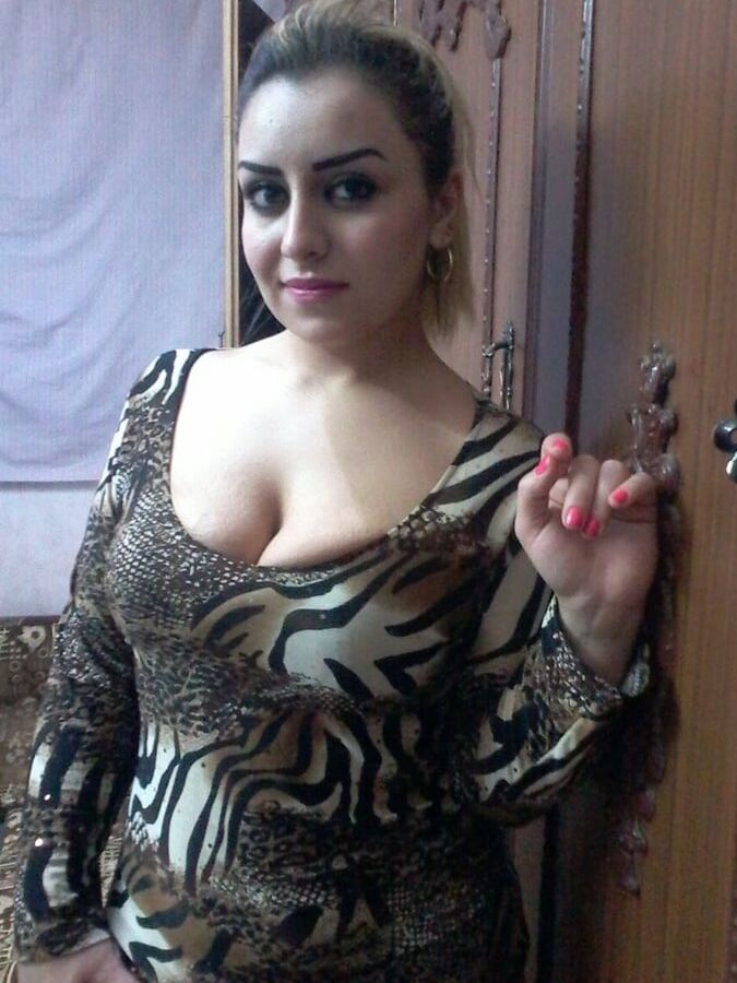 Iraqi pie TYPE