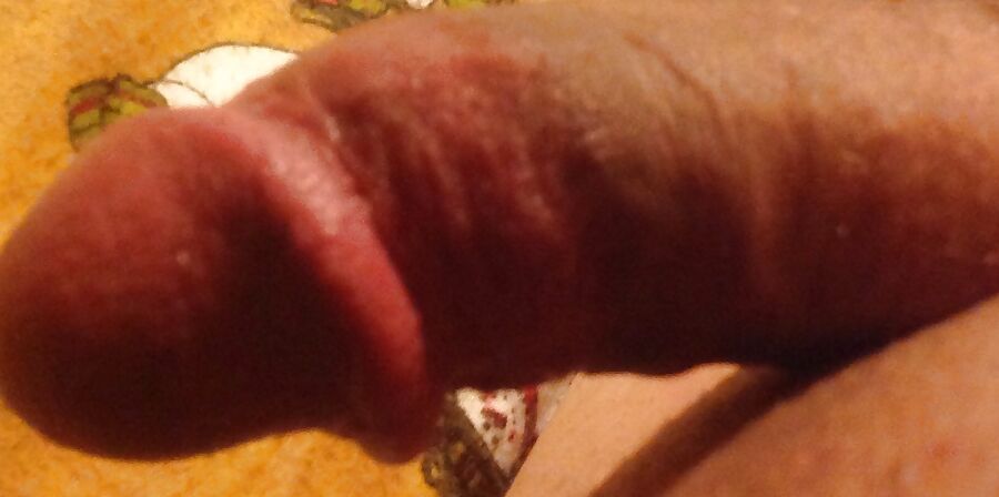 Horny and ready for action