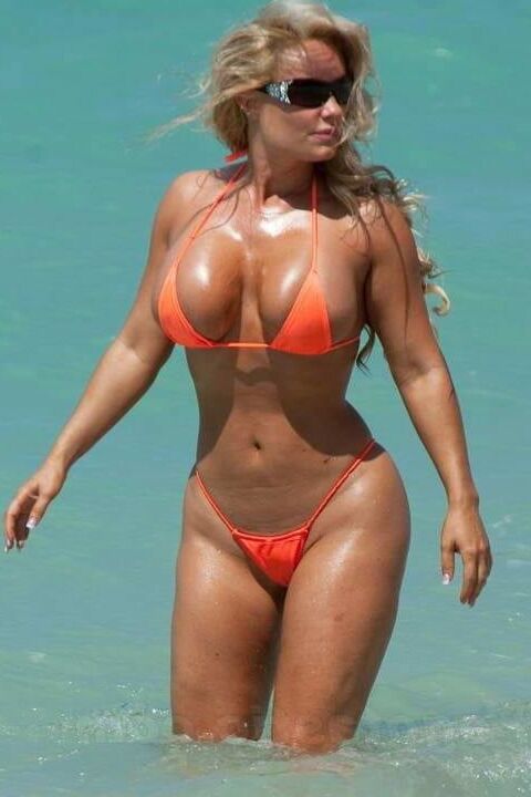 BIMBO BROADs