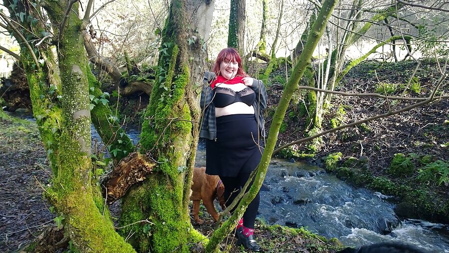 Afternoon walking in the wood