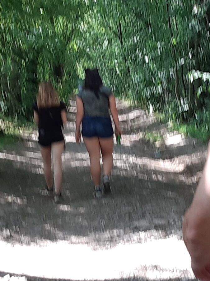 Afternoon walking in the wood