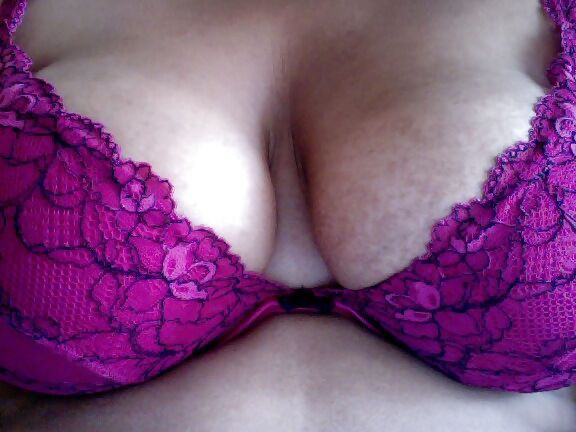 - new bras plus