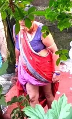 Desi Big Ass Aunty