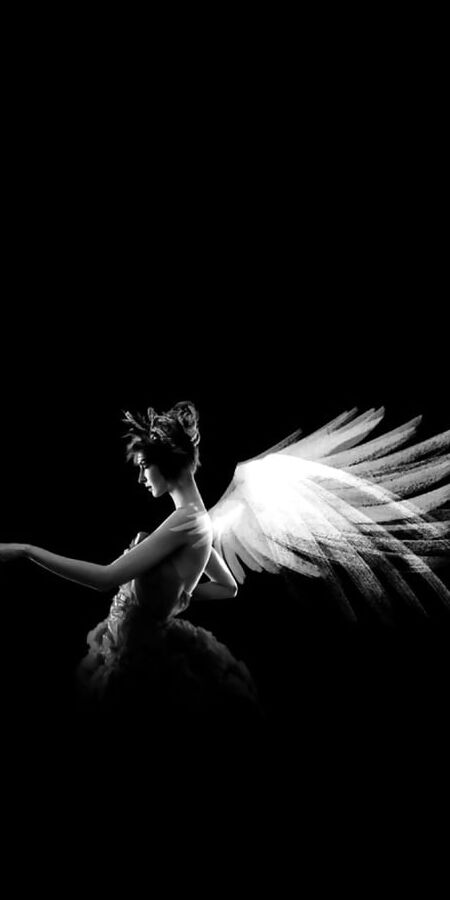 Heavenly Bodies