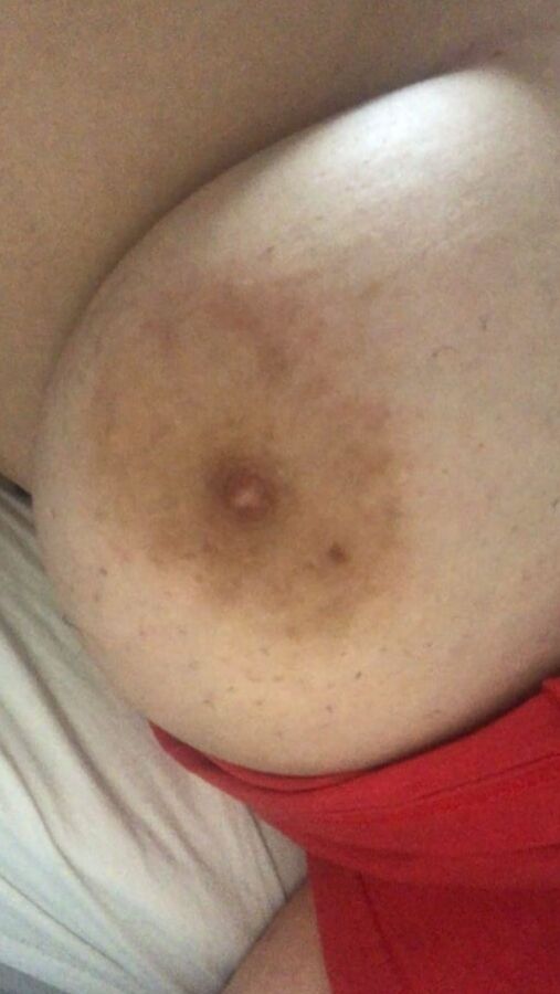 Mi sumisa gordita