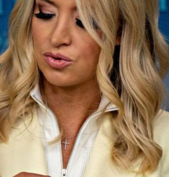 The Unflappable and Very Fapable Kayleigh McEnany