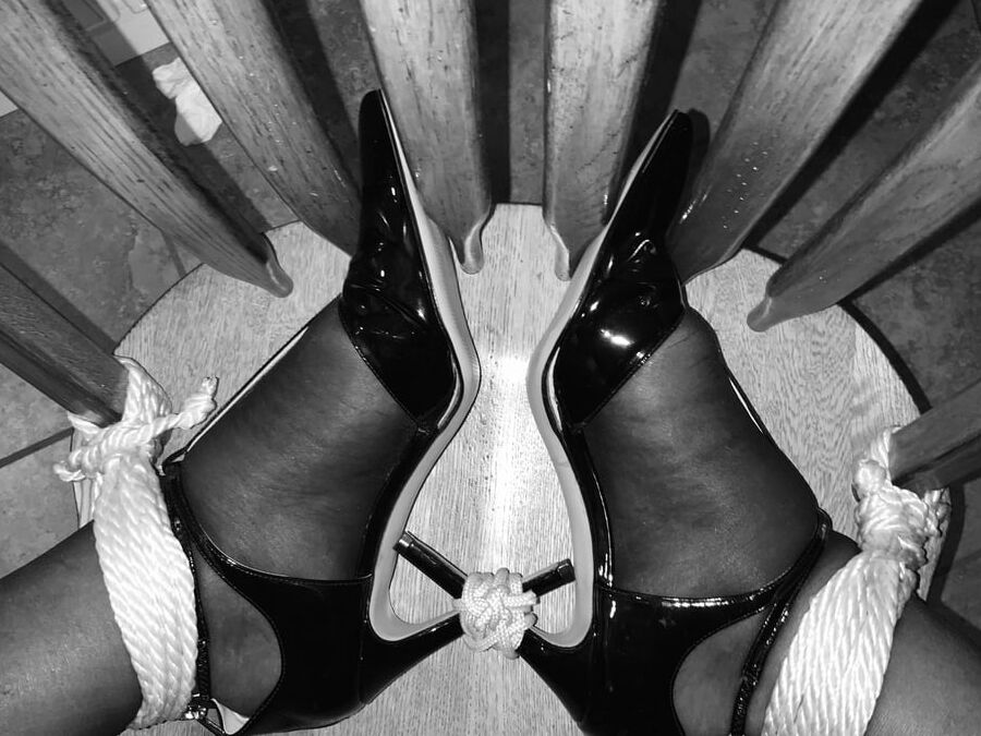 My Pleasures