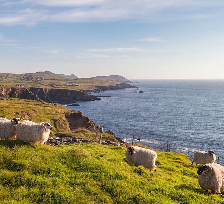 Tolle Girls + Bilder aus Irland