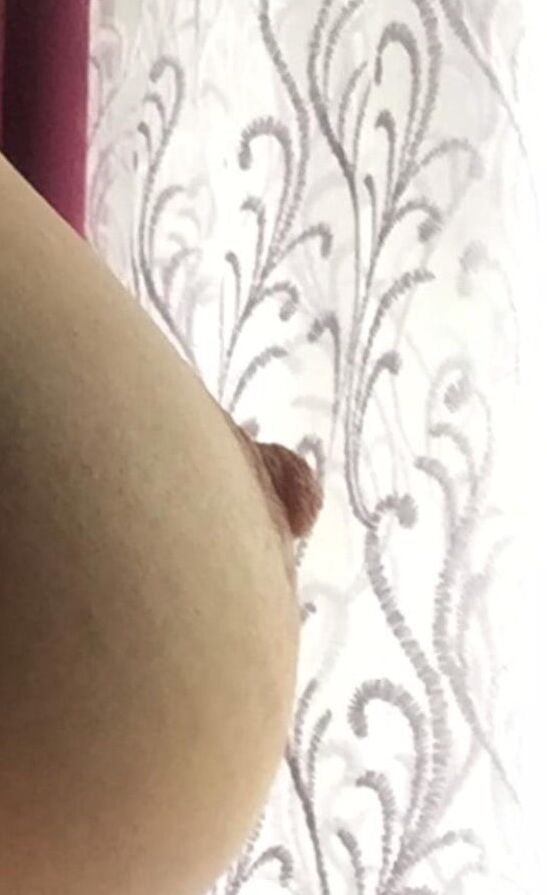 belarussian gilf