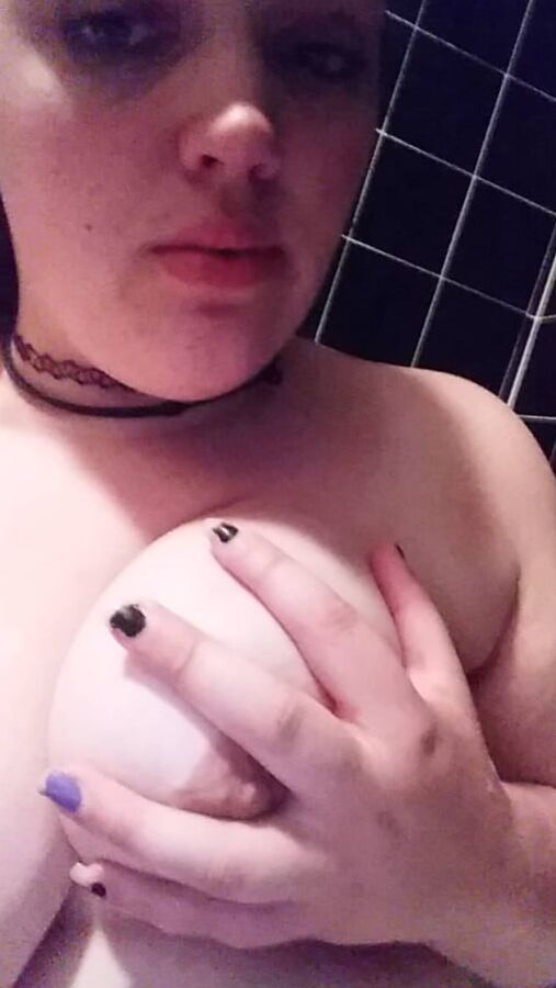 Scottish ( Welsh) Chubbys