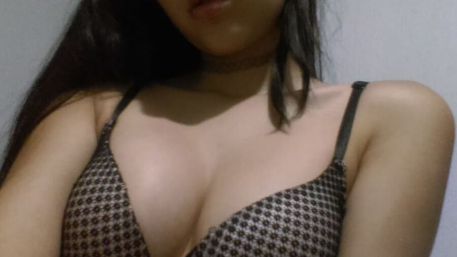 karolina cel perdido