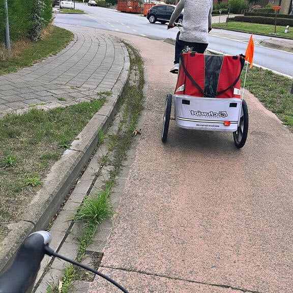 Private life of Lecha (Belgium)