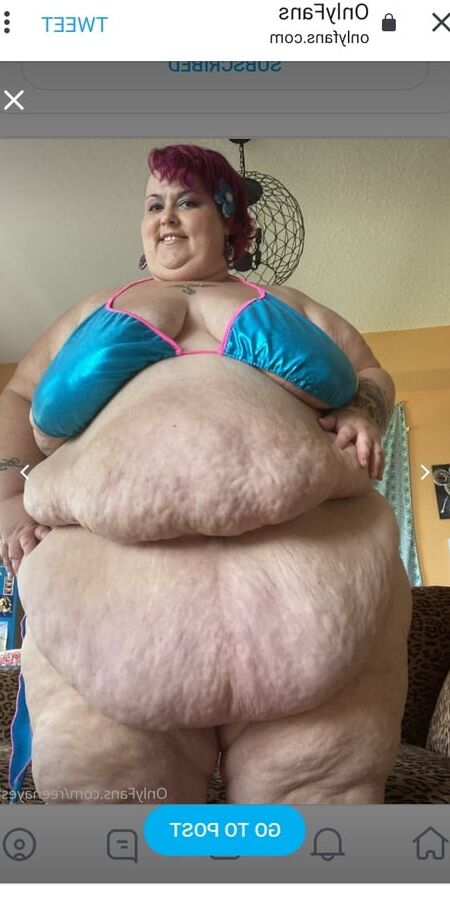 Hoodyman SSBBW . Reenaye Starr fox special .