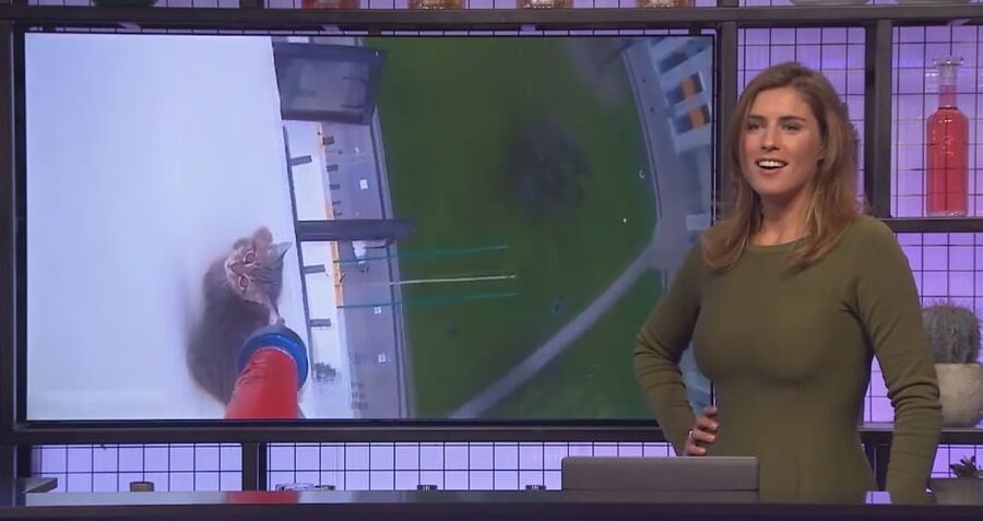 Bit Titted Dutch Celebs
