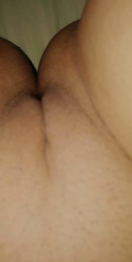 La chatte de laure