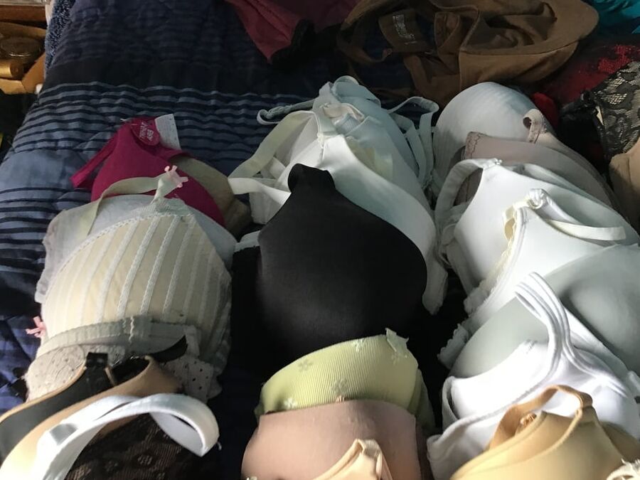 Bra Collection