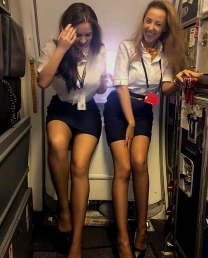 Cabin Crew - Mile High Hotties