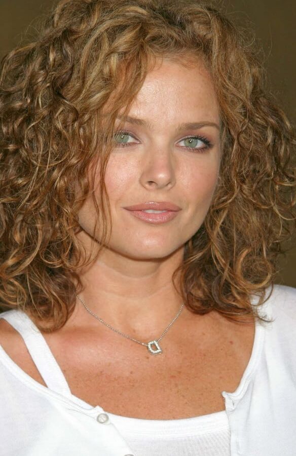 Celebrity Hot - Dina Meyer