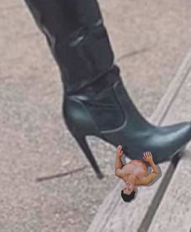 BOXING SELENA SHKINH BUDOKNPO