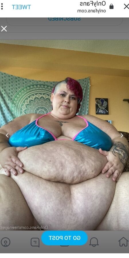 Hoodyman SSBBW . Reenaye Starr fox special .