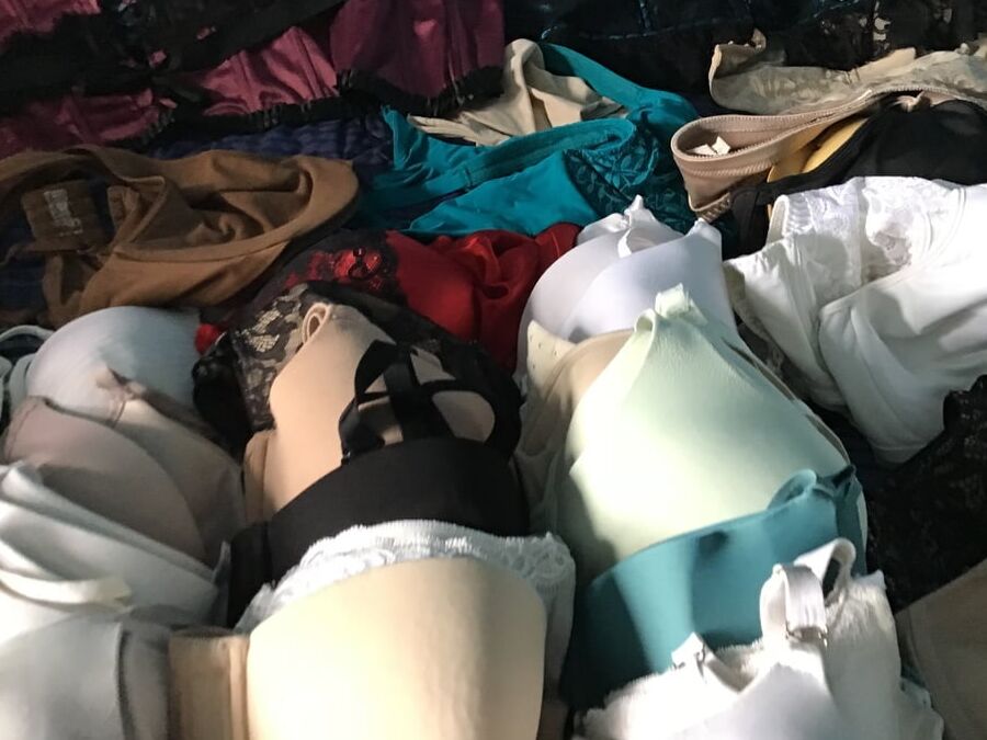 Bra Collection